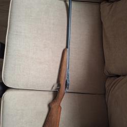 Carabine de jardin type Damon 12 mm  Arme de cat&eacute;gorie D