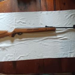 Carabine &agrave; air comprim&eacute; 40 joules