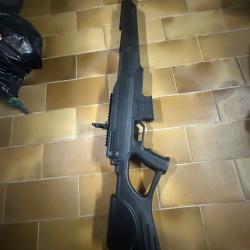 Carabine &agrave; plomb BEEMAN DUAL 2015 S