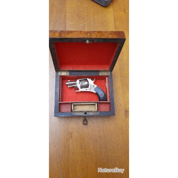 Magnifique mignature 22 court  neuf de stock