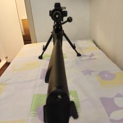 Carabine Norinco custom silence calibre 222 tr&egrave;s bon &eacute;tat g&eacute;n&eacute;ral