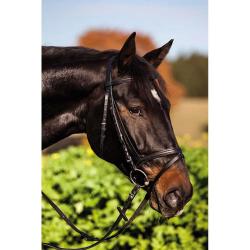 Bridon standard cuir brun shetland
