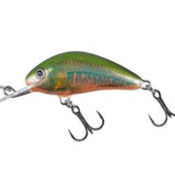 Poisson Nageur Salmo Hornet Sinking H3S Holo Oikawa