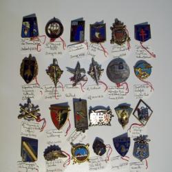 lot 24 insignes militaire pucelles