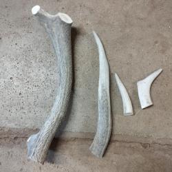 LOT BOIS MUE DE CERF COUTELLERIE ARTISANAT BRICOLAGE