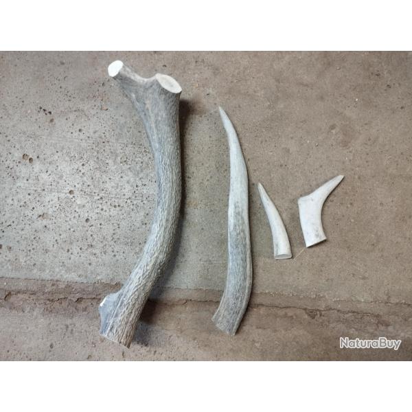 LOT BOIS MUE DE CERF COUTELLERIE ARTISANAT BRICOLAGE