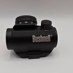 Point rouge Bushnell