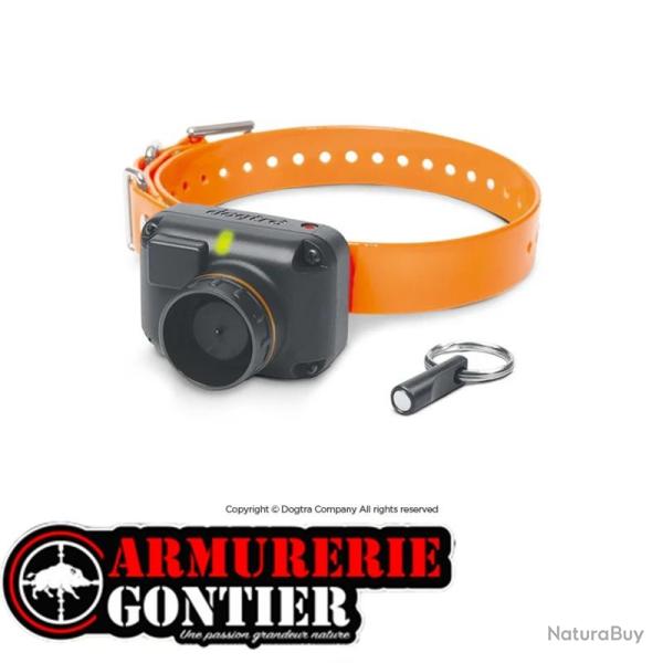 Colliers beeper � distance DOGTRA STB BEEPER L