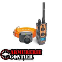 Collier de dressage avec beeper DOGTRA 2600 T&B