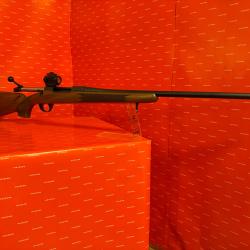 Carabine Bergara B14 cal 270win + Point rouge Bushnell TRS 25