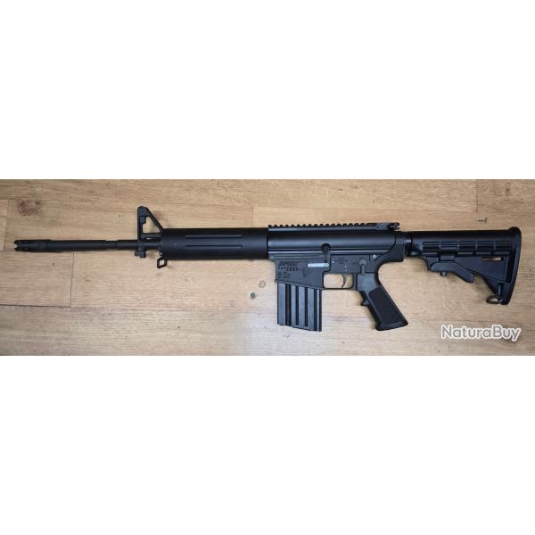 DPMS LR 308