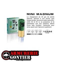 Cartouches MARY ARM MINI MAGNUM 12/70/40 bourre jupe 6