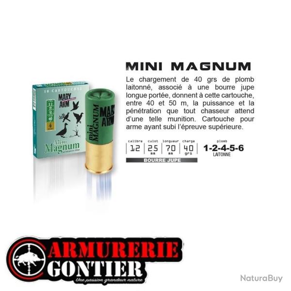 Cartouches MARY ARM MINI MAGNUM 12/70/40 bourre jupe 6