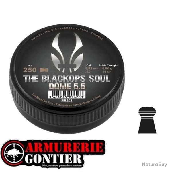 plombs BO DOME 5.5MM 0.90G X250