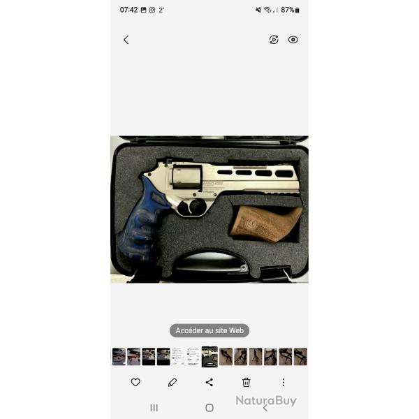 Revolver  rhino chiappa  357 magnum  60ds