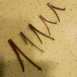 Lot de ressorts pour platines