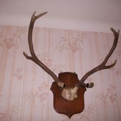 porte fusils en excellent &eacute;tat