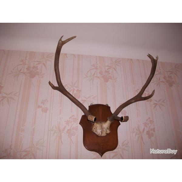 porte fusils en excellent �tat