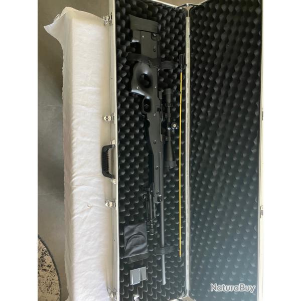 Carabine Remington Model 700 SPS Varmint pr�par�e