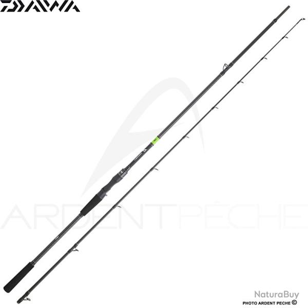 Canne casting DAIWA Prorex E 702 HXH FBBF