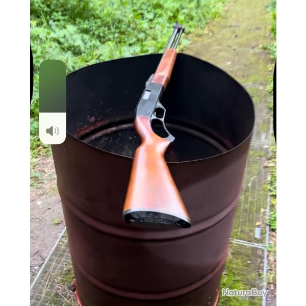 Carabine levier sous garde 22lr Winchester