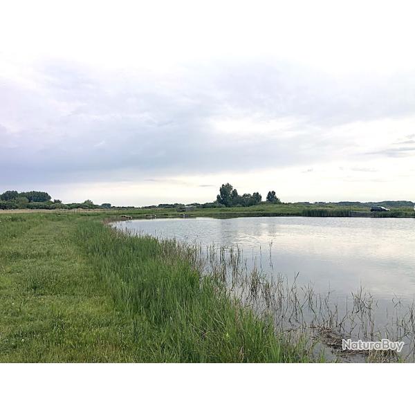 Hutte de chasse dans le marais de Merlimont