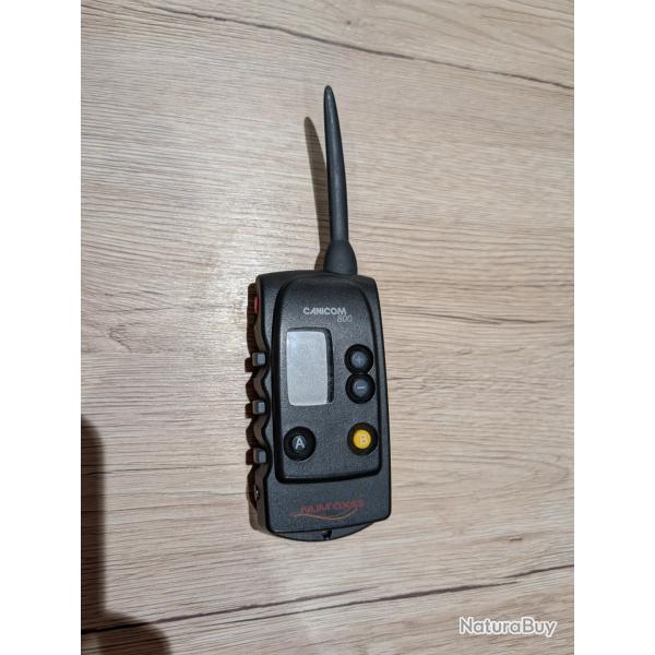 T�l�commande canicom 800 + collier de dressage