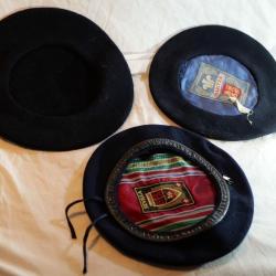 TROUPES OCCUPATION collection COURNOL lot de 3 b&eacute;rets dont insigne m&eacute;tallique - WWII