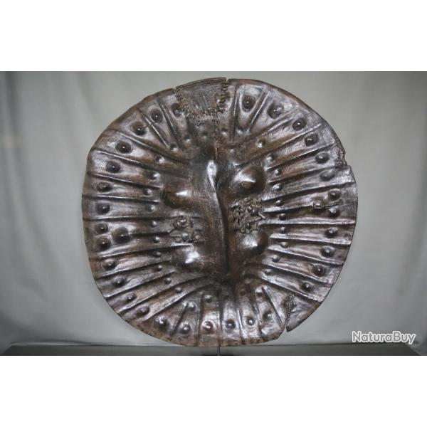 Bouclier de la corne de l'Afrique - Abyssinie, Ethiopie, D�but 20�me si�cle ou ant�rieur