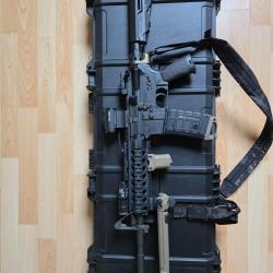 AR-15 Stag Arms USA cal .223 rem + 10 chargeurs 30 coups