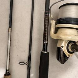 Lot de canne &agrave; p&ecirc;che daiwa