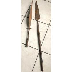 2 fers de lance Afrique sub-Saharienne