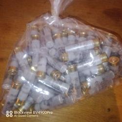 Lot 100 zanolettis 12mm..... Sunsonics !