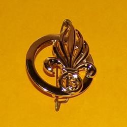 LEGION : 13&deg; DEMI BRIGADE DE LA LEGION ETRANGERE DE L'ARMEE FRANCAISE , INSIGNE DE BERET , La 13e de