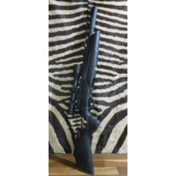 Carabine PCP GAMO Arrow cal.5.5mm - lunette 3-12x50i