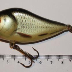 Poisson nageur Salmo