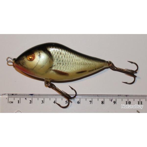 Poisson nageur Salmo