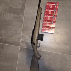 Ruger american ranch 300 blk + 250 munition