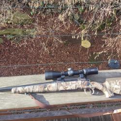 Savage 243 winchester