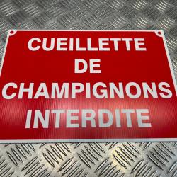 Panneau cueillette de champignons interdite akilux 26 x 20cm