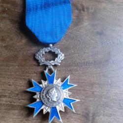 m&eacute;daille &eacute;mail ordre national du m&eacute;rite