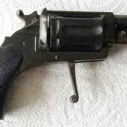 Joli Velodog Calibre 6mm