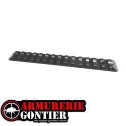 Rail Weaver aluminium RECKNAGEL - Montage optique pour Haenel Jaeger SLB2000 et Merkel SR1