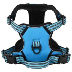 Harnais pour chien avec laisse et collier r&eacute;glables bleu