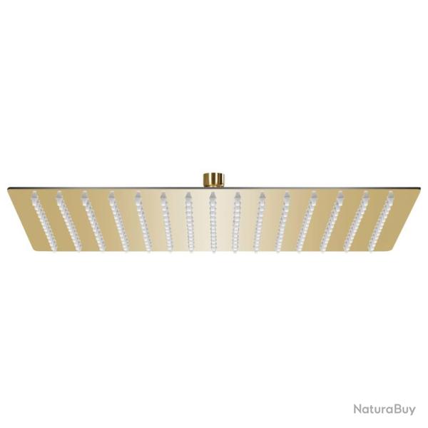 Pomme de douche pluie Inox 40x30 cm Rectangulaire Dor�