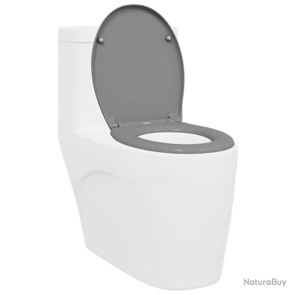 Toilette � lib�ration rapide avec fermeture douce Duroplast Grise