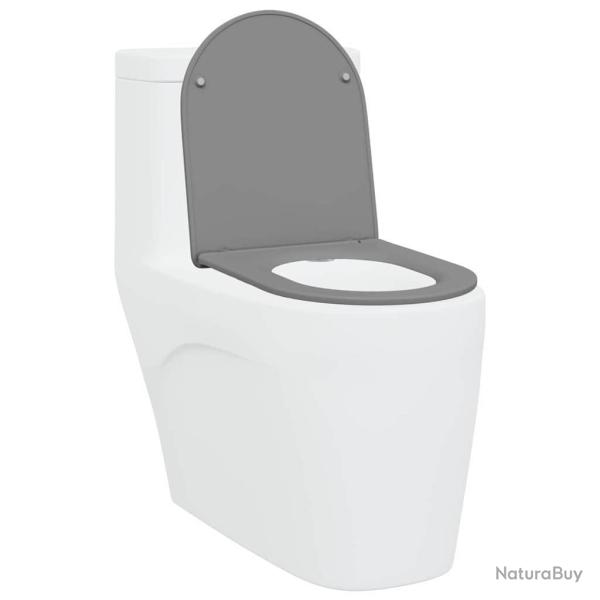 Toilette � ouverture rapide avec fermeture douce en Duroplast Gris