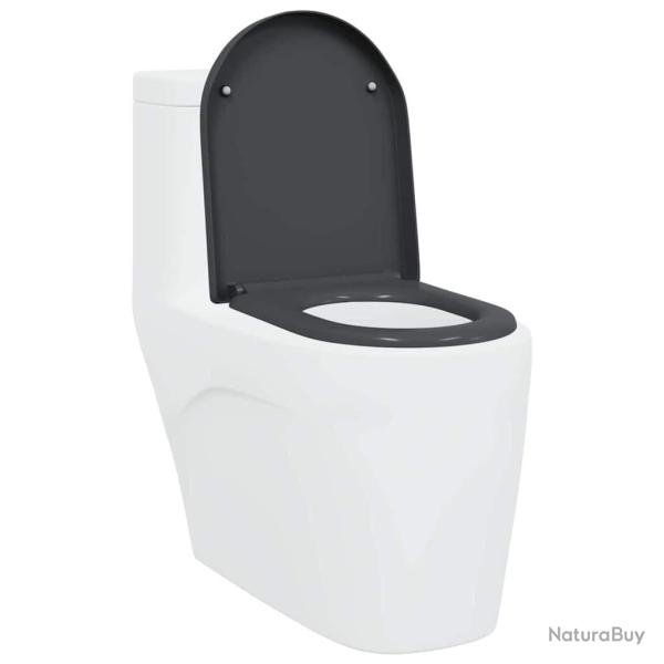 Si�ge de toilette � lib�ration rapide avec fermeture douce en Duroplast Anthracite