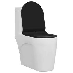 Si&egrave;ge de toilette R&eacute;glable Noir 50 x 36,5 x 5 cm Polypropyl&egrave;ne