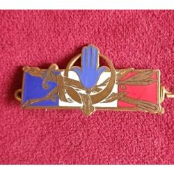 INSIGNE MAINTIEN DE L'ORDRE A.F.N.